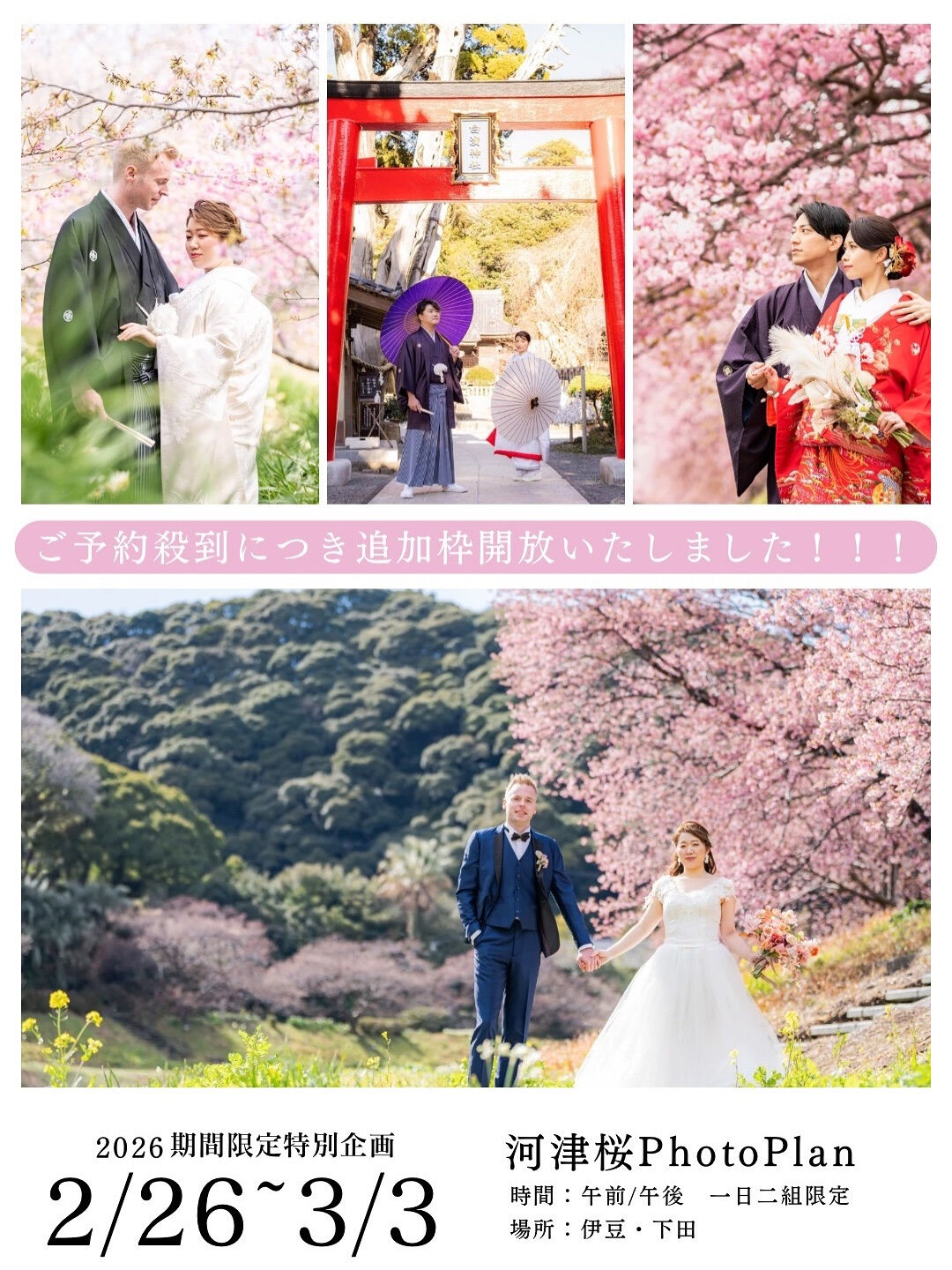 『24towedding 期間限定撮影プラン追加枠募集のお知