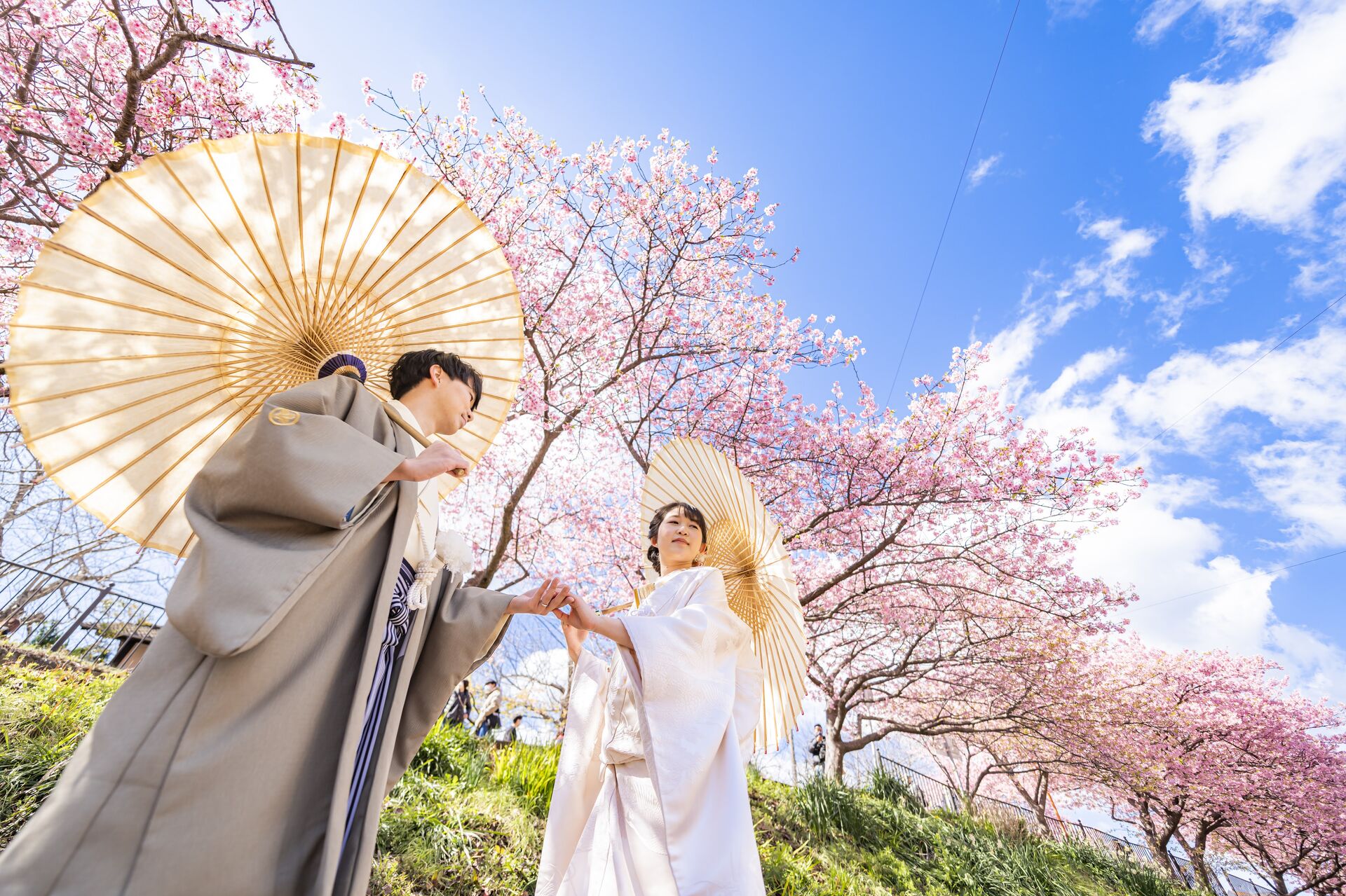 🌸 桜舞う季節に誓う、和装フォトウエディングという選択