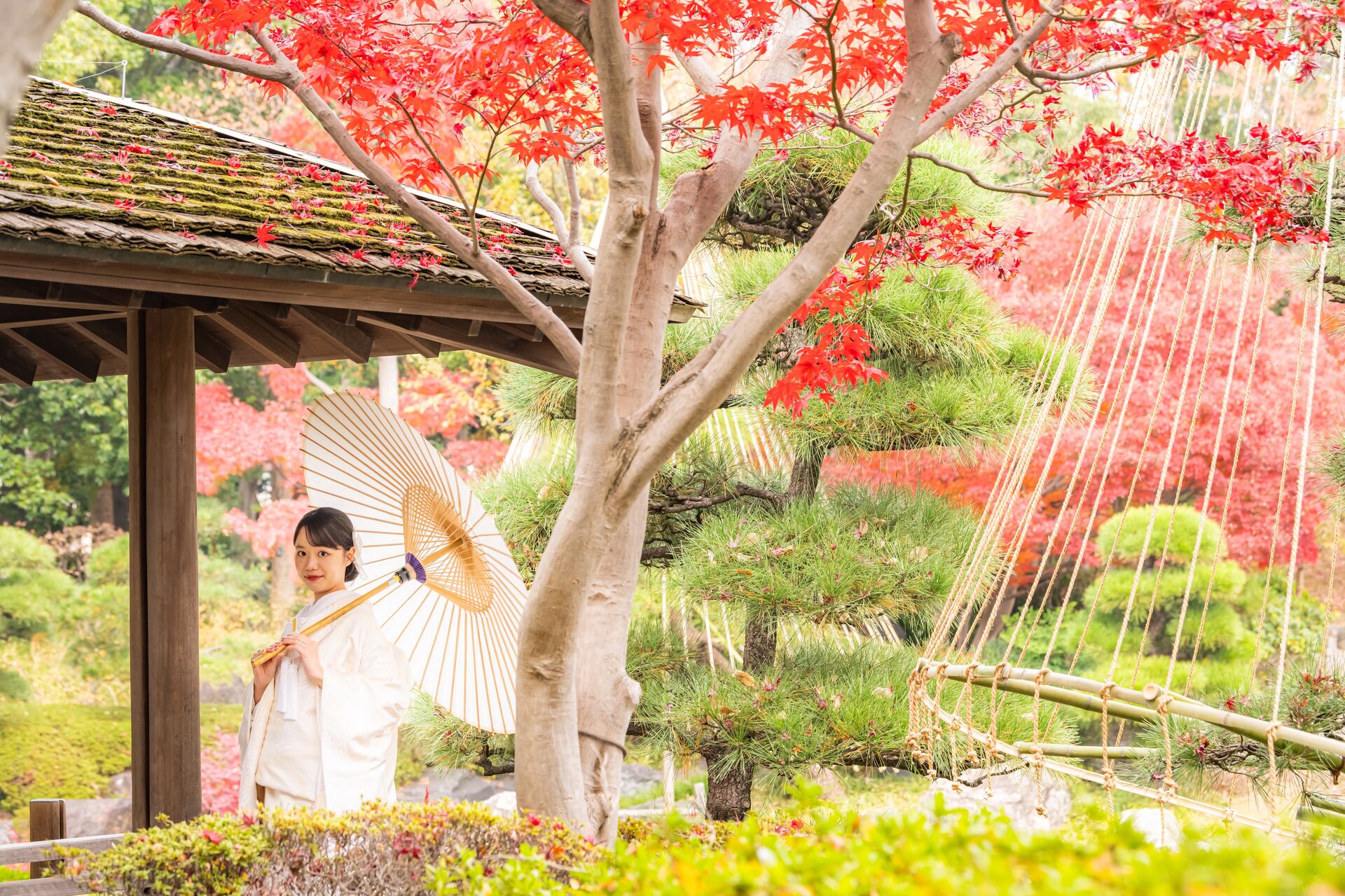 🍁紅葉に包まれる、心に残る和装フォトウェディング。足立区・桜花亭で叶える特別な一日