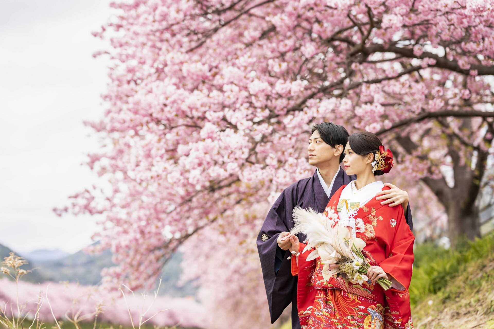 🌸【ご予約受付開始】２０２７年２月！河津桜で叶える和装前撮り｜神社・菜の花畑も巡る期間限定フォトウェディング