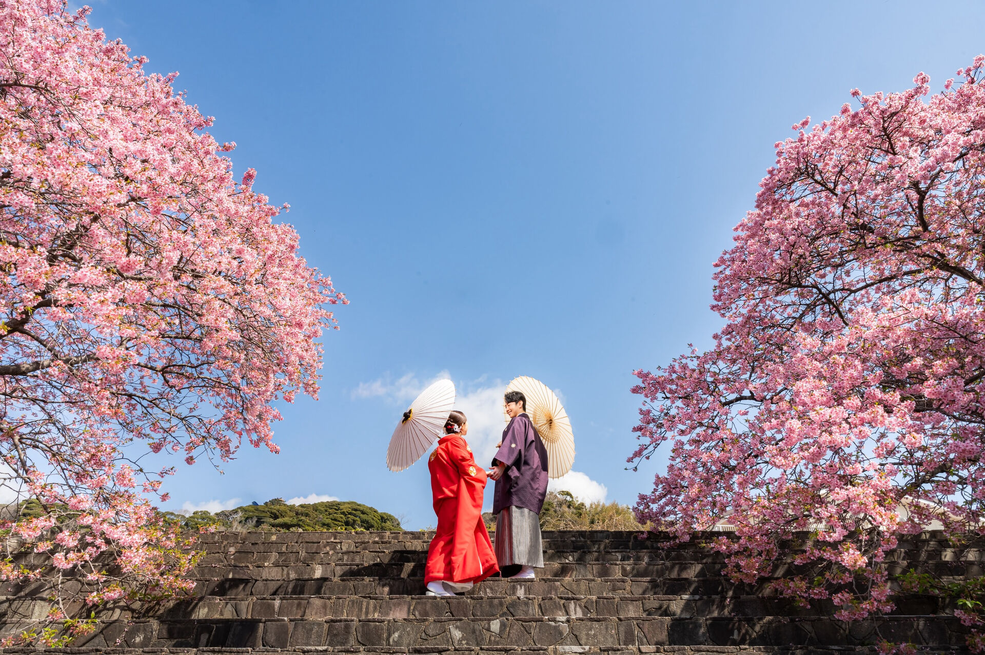「和装も洋装も桜とのフォトウエディング』