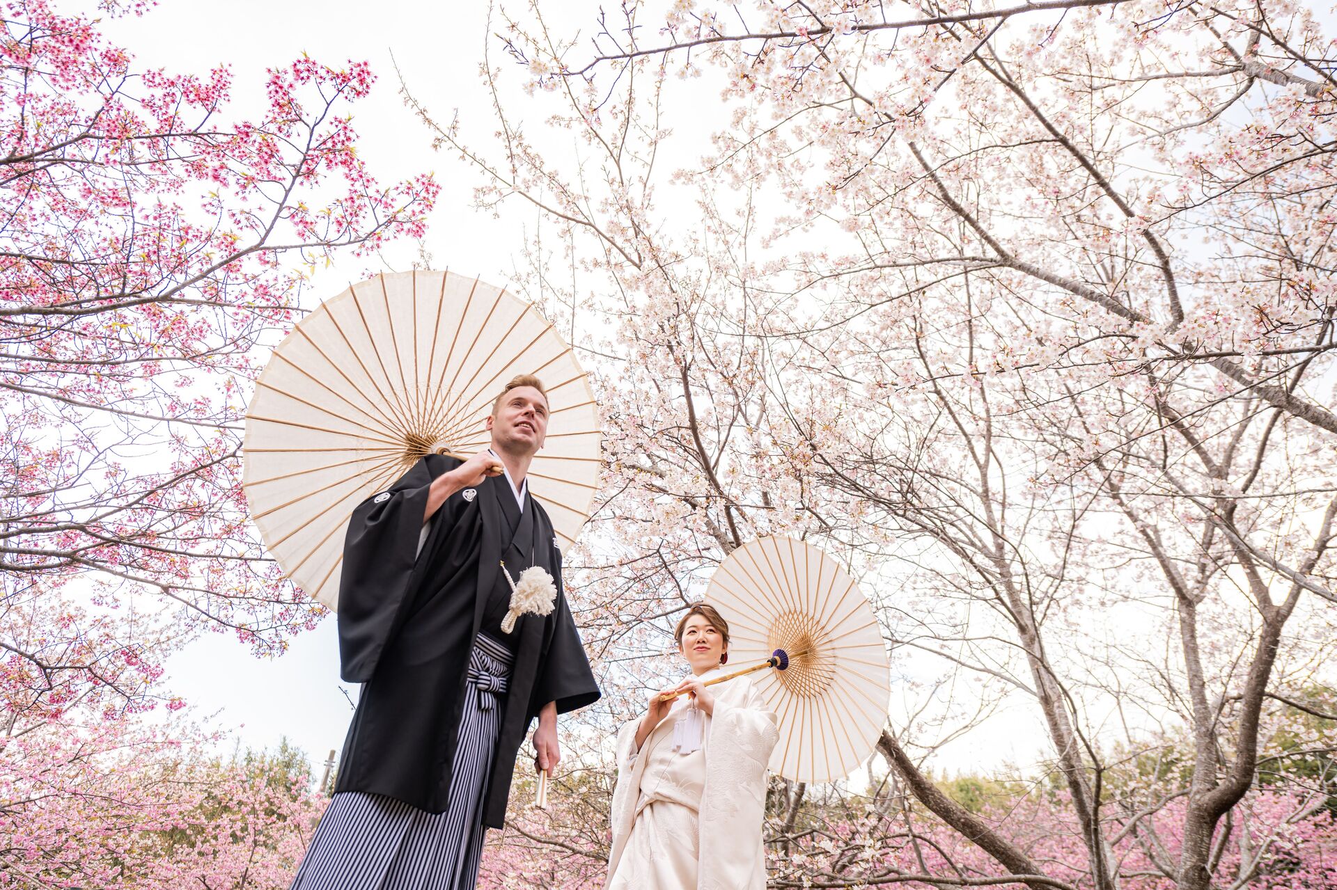 🌸2027年開催決定！サテライト企画・河津桜の和装＆洋装フォトウエディング